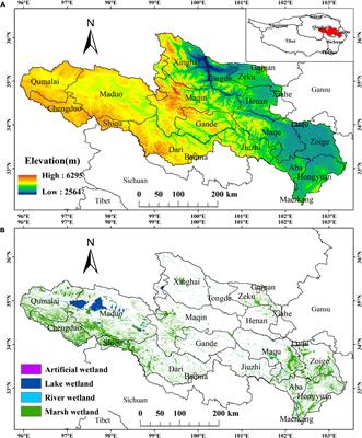 A study of the effects of climate change and human activities on NPP of marsh wetland vegetation in the Yellow River source region between 2000 and 2020